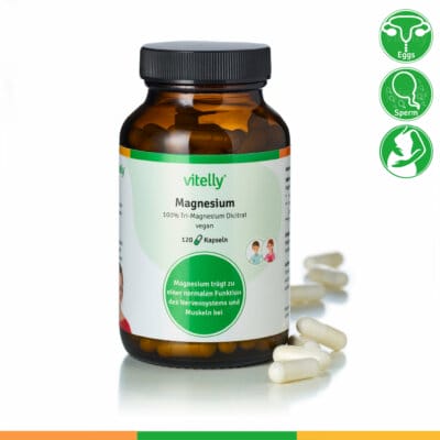 Magnesium (120 Kapseln)