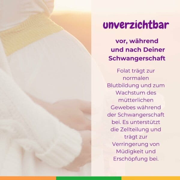 Folat Folsäure Schwangerschaft Blutarmut Kinderwunsch Folatmangel Folsaeuremangel Unfruchtbar