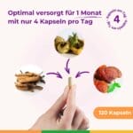 Zyklusregulierung Dysmenorrhoe Regelschmerzern ausbleibender Eisprung