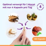 Cordycepsman Kinderwunsch Spermienqualitaet Spermienreifung Vitalpilze Unfruchtbar