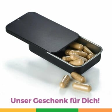 Pillendose Pillendosett Medikamentendose Schachtel Dose Vitalpilze Vitalstoffe Kapselntabletten Medikamente Stellen Pillen