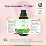 Frauenmantel Kinderwunsch Gelbkörperschwäche Progesteronmangel