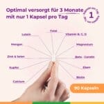 Pregnylac Folat Schwanger Trimester