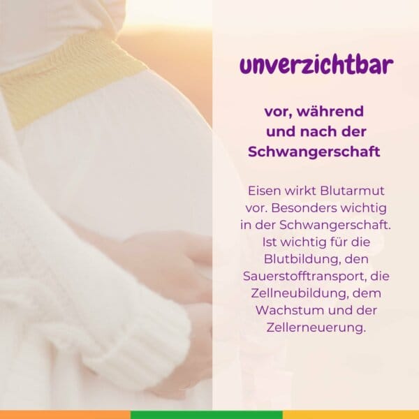 Eisen Schwangerschaft Blutarmut Kinderwunsch Eisenmangel Anaemi Unfruchtbar Stillen Stillzeit