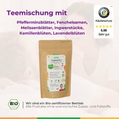 Pregnancy No.1 Schwangerschafts Tee Erstes Trimester Gegen Uebelkeit Vitelly Schwanger