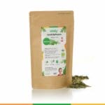 Gebaermutter Reinigung Menstruation Ausloesen Nestreiniger Fehlgeburt CarefullyPrepare