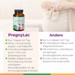 Pregnylac Folat Eisen Magnesium Folsaeure Blutarmut