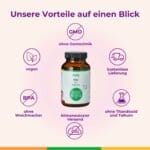 Folat Folsaeure Milchbildung Stillen
