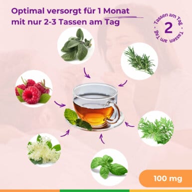 Zyklushaelfte Tee Eins Frauen Kinderwunsch WomanRotation No.1