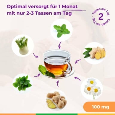 Pregnancy No.1 Schwangerschafts Tee Erstes Trimester Gegen Uebelkeit Vitelly