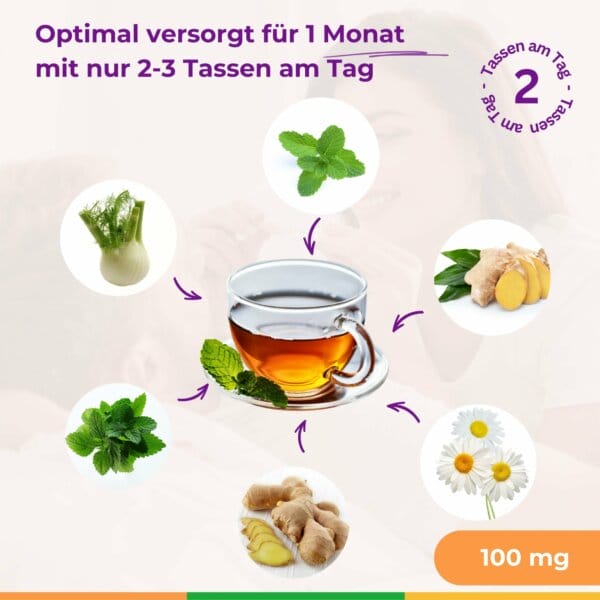 Pregnancy No.1 Schwangerschafts Tee Erstes Trimester Gegen Uebelkeit Vitelly