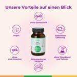 Eisen Schwangerschaft Blutarmut Kinderwunsch Eisenmangel Anaemi