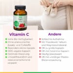 Vitamin C Kinderwunsch Pimp My Eggs Amh Eizellqualitaet