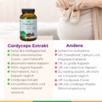 Cordyceps Extrakt Kinderwunsch Pimp My Sperm Spermiogramm Spermienqualitaet Spermienreifung