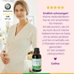 Frauenmantel Kinderwunsch Progesteronmangel