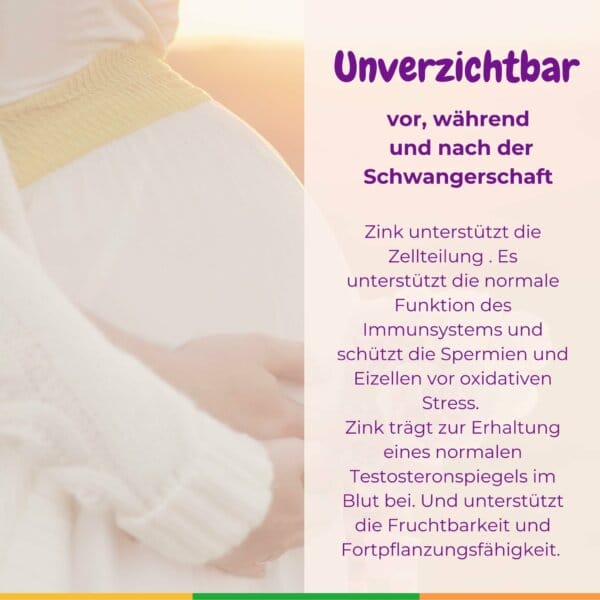 Zink Gelbkoerperschwaeche Pimp My Eggs Amh Eizellqualitaet Eizellreifung Unfruchtbar