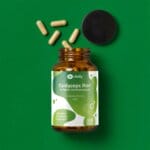 Cordyceps Extrakt Kinderwunsch Pimp My Sperm Spermiogramm Spermienqualitaet Spermienreifung Unfruchtbar Vitalpilze (1)