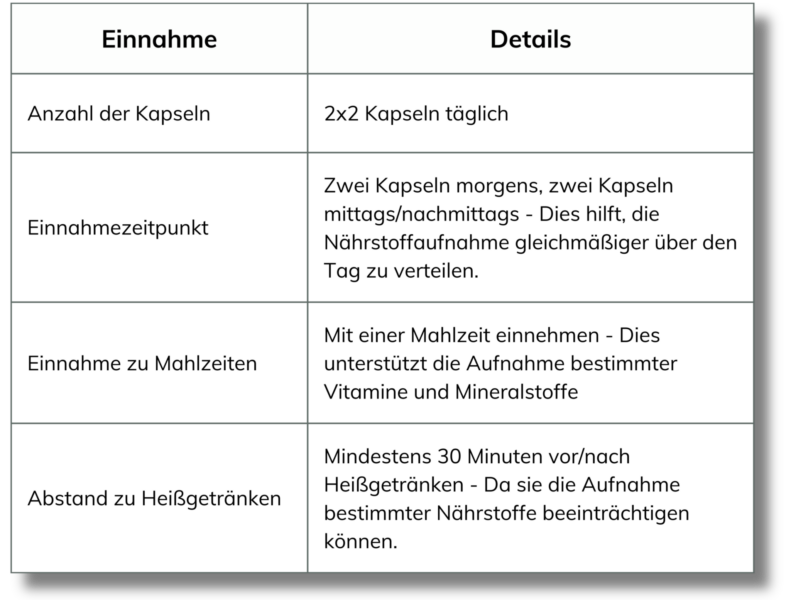 Cordyceps Man® Einnahme Empfehlung