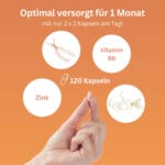 Cordyceps Woman Unfruchtbar Kinderwunsch Pimp My Eggs Amh Eizellqualitaet Eizellreifung Vitalpilze (5.)
