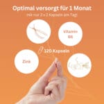 Cordyceps Woman Unfruchtbar Kinderwunsch Pimp My Eggs Amh Eizellqualitaet Eizellreifung Vitalpilze (5.)