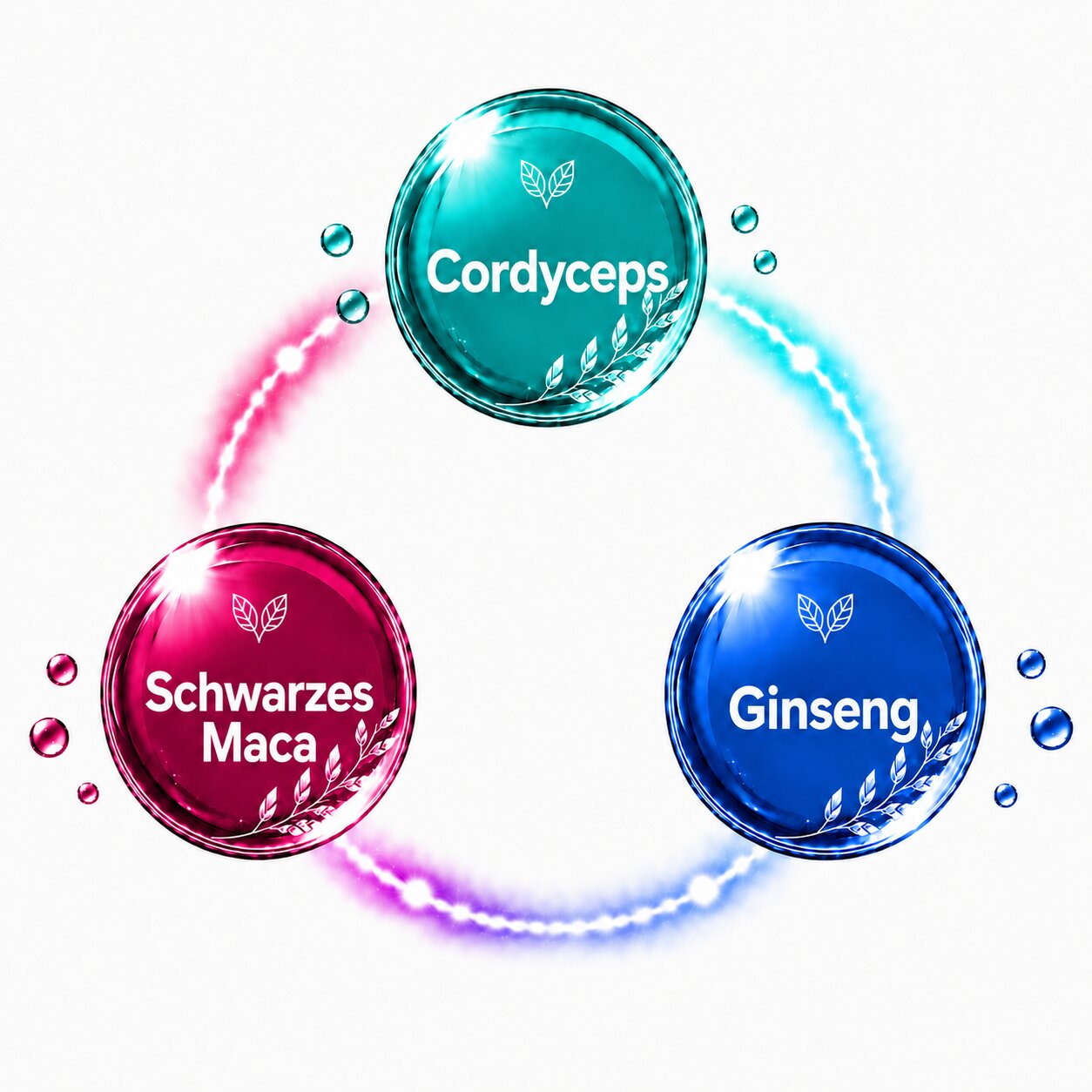 Cordyceps, Schwarzes Maca Und Ginseng Als Sinnvolle Ergänzung Aus Der Tcm Im Pimp My Sperm Set Cordyceps, Schwarzes Maca Und Ginseng Als Sinnvolle Ergänzung Aus Der Tcm Im Pimp My Sperm Set