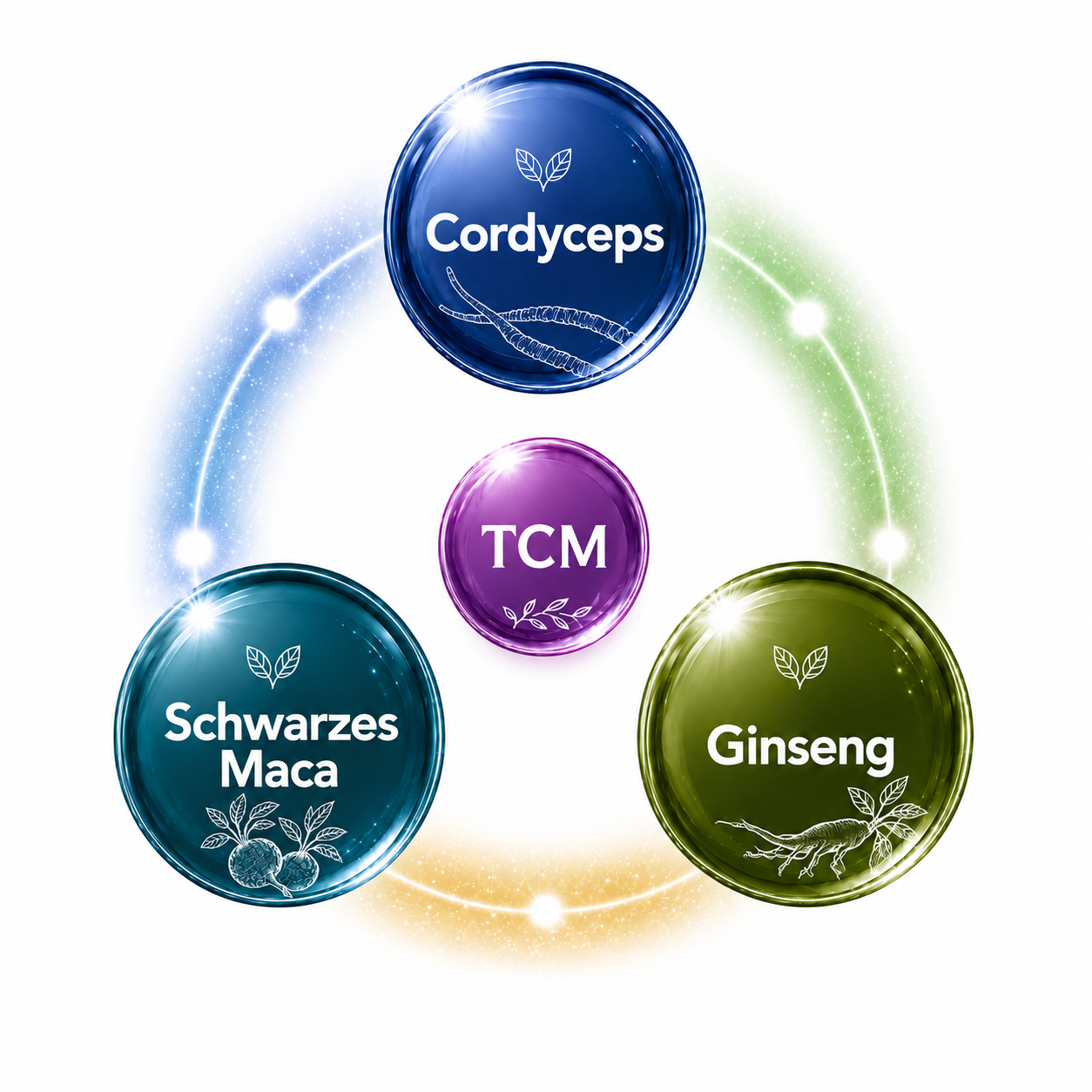 Cordyceps, Schwarzes Maca Und Ginseng Für Die Fruchtbarkeit In Den Fertilitäts Kapseln Cordyceps, Schwarzes Maca Und Ginseng Für Die Fruchtbarkeit In Den Fertilitäts Kapseln