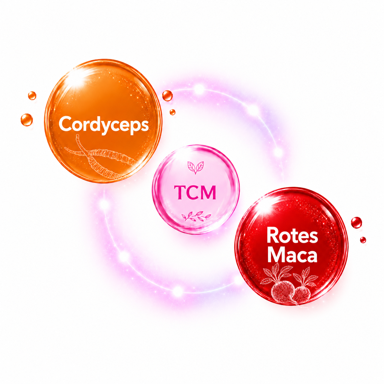 Cordyceps Und Maca In Den Cordycepswoman Zyklus Balance Kapseln Cordyceps Und Maca In Den Cordycepswoman Zyklus Balance Kapseln
