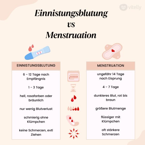 Einnistungsblutung Vs Menstruation