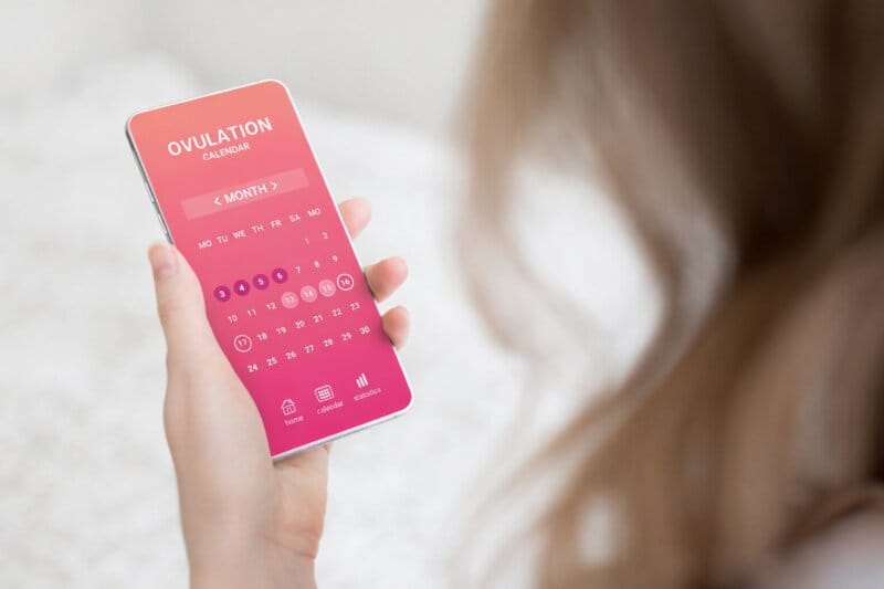 Eisprung Fördern, App Zeigt Tag Des Eisprungs