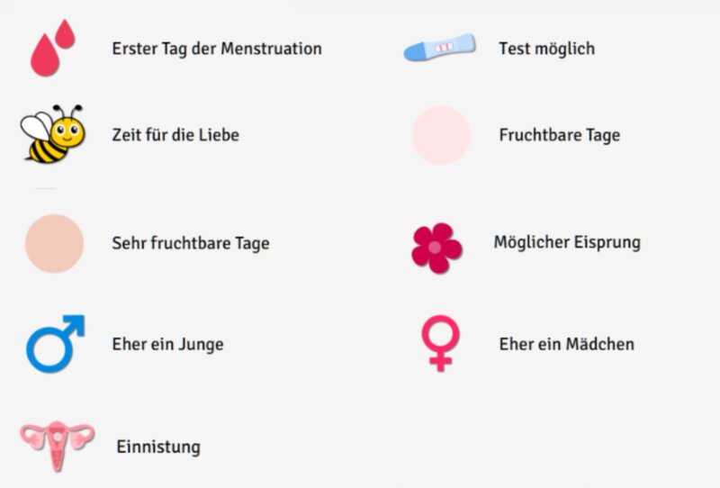 Eisprungrechner, Eisprung Berechnen