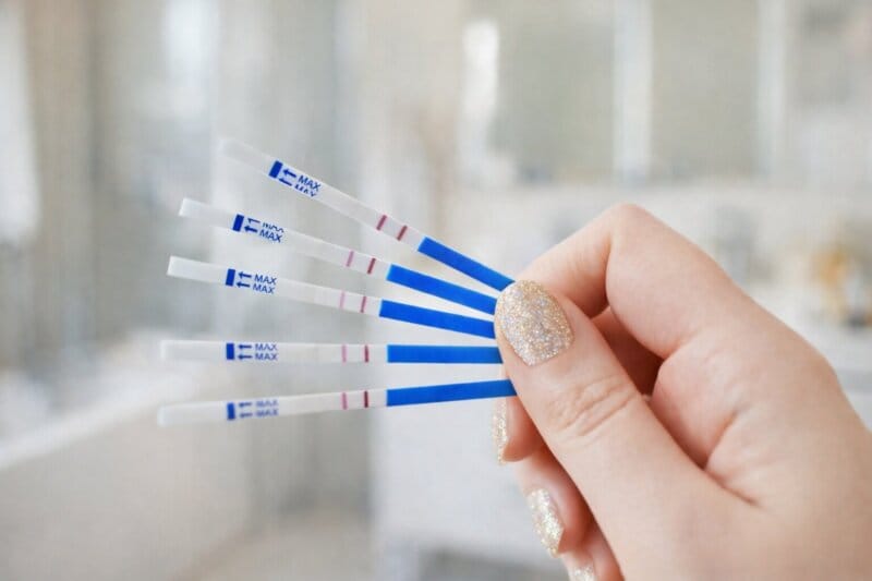 Erhöhte Fruchtbarkeit Nach Fehlgeburt, Eisprung Bestimmen.