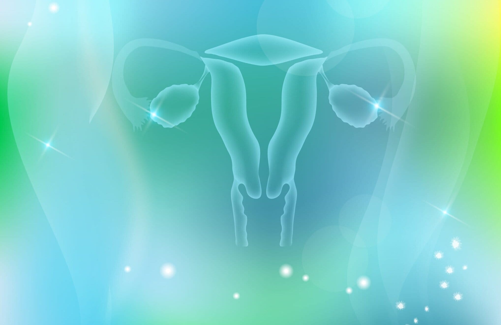 Gebärmutterschleimhaut aufbauen