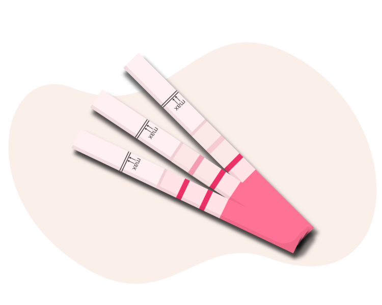 Ovulationstest Eisprung bestimmen