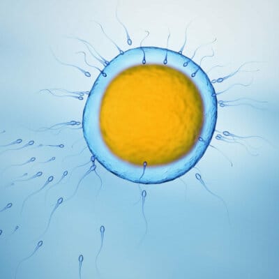 Pimp my Eggs - Kinderwunsch Vitamine