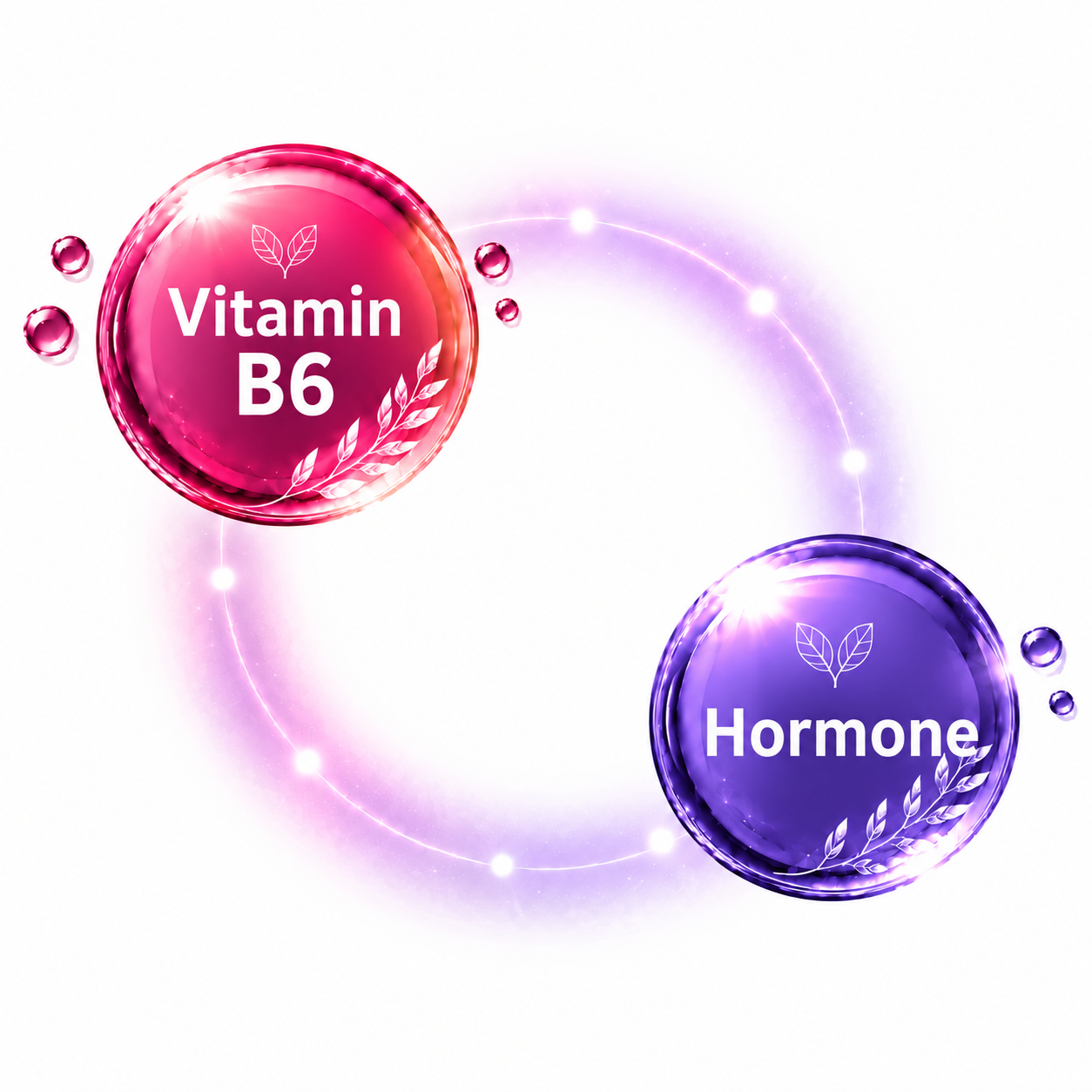 Vitamin B6 Für Den Hormonhaushalt In Den Fertilitäts Kapseln Vitamin B6 Für Den Hormonhaushalt In Den Fertilitäts Kapseln