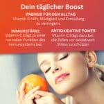 Vitamin C Komplex, Abwehrkräfte Stärk, Hagebutten Extrakt, Gepuffertes Vitamin C, Vegan & Frei Von Zusätzen, Immunsystem Unterstützung, Kollagenbildu (8)