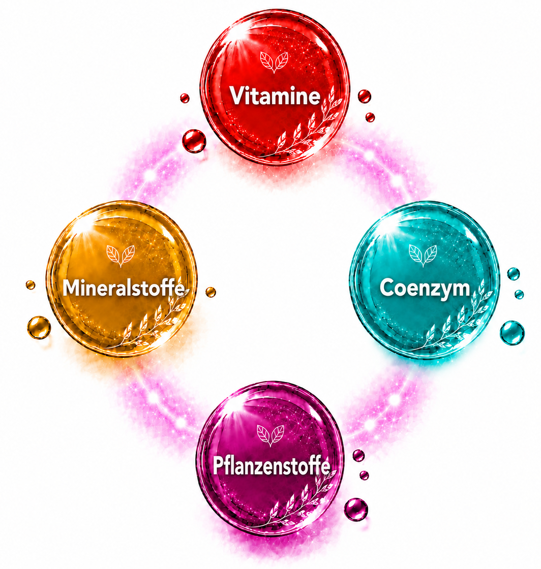Vitamine, Mineralien, Coenzym Und Pflanzenstoffe Als Bestandteil Der Kinderwunsch Set Kapseln Vitamine, Mineralien, Coenzym Und Pflanzenstoffe Als Bestandteil Der Kinderwunsch Set Kapseln