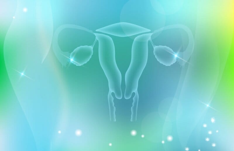 erhöhte Fruchtbarkeit nach Fehlgeburt, nach Fehlgeburt wieder schwanger, Schwanger nach Fehlgeburt