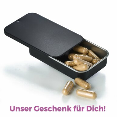 Pillendose Pillendosett Medikamentendose Schachtel Dose Vitalpilze Vitalstoffe Kapselntabletten Medikamente Stellen Pillen