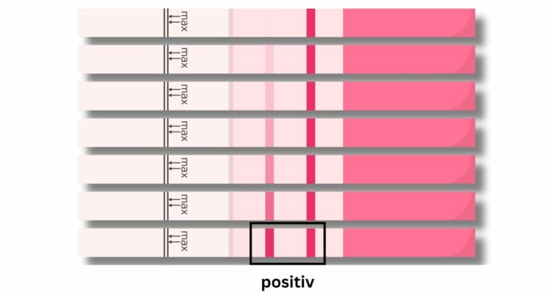 Positiver Ovulationstest wie sieht ein positiver Ovulationstest aus? ist der Ovulationstest positiv?