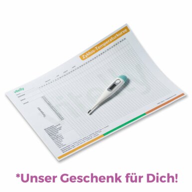 Zyklusblatt Temperaturkurve Zykluskurve Nfp Familienplanung Kinderwunsch Eisprung Basaltemperatur Zykluskalender